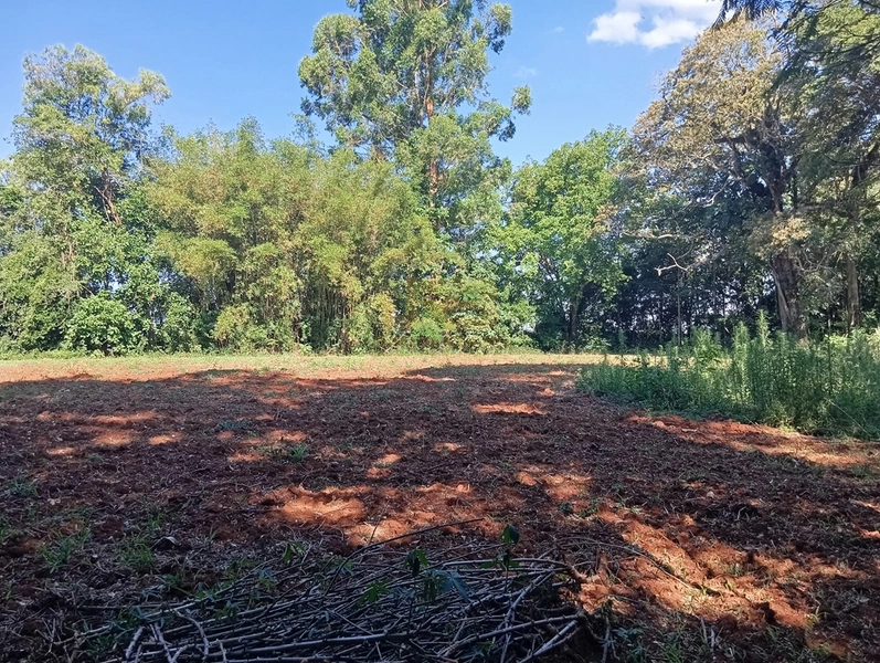 LINDA CHÁCARA DE 1ha: 12ª foto da galeria de imagens do imóvel