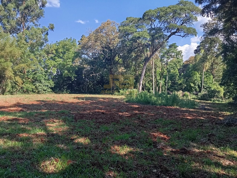 LINDA CHÁCARA DE 1ha: 17ª foto da galeria de imagens do imóvel