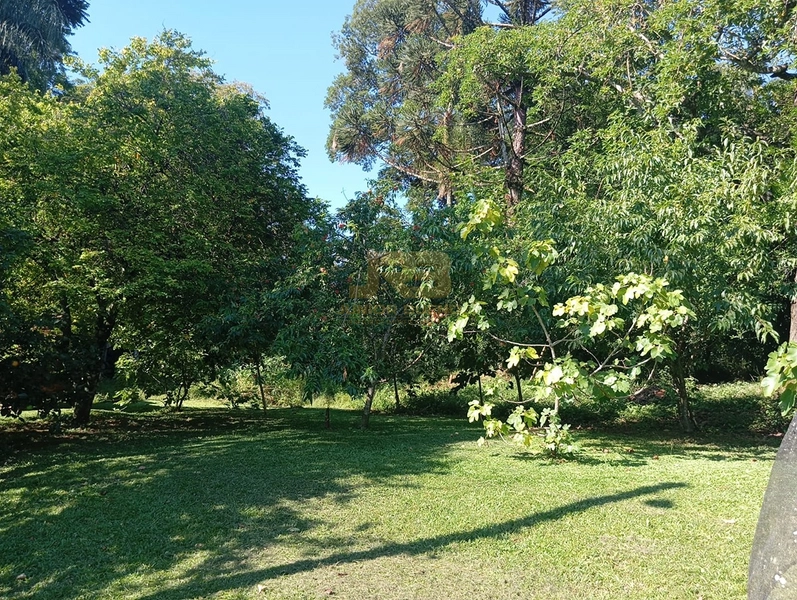 LINDA CHÁCARA DE 1ha: 16ª foto da galeria de imagens do imóvel