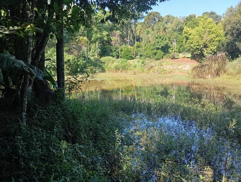 LINDA CHÁCARA DE 1ha: 5ª foto da galeria de imagens do imóvel
