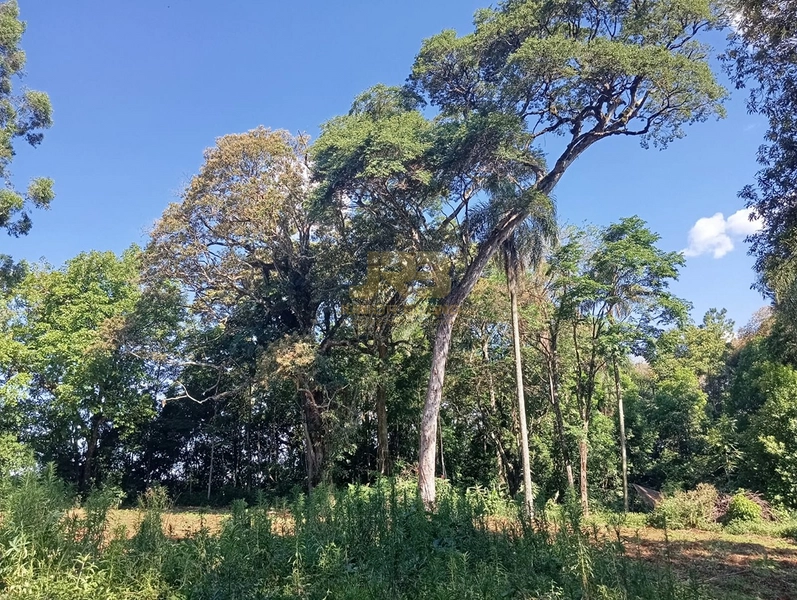 LINDA CHÁCARA DE 1ha: 15ª foto da galeria de imagens do imóvel
