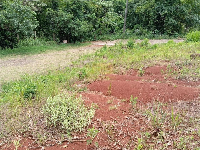 TERRENO DE ESQUINA NO CENTRO: 9ª foto da galeria de imagens do imóvel