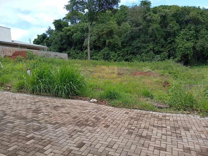 TERRENO DE ESQUINA NO CENTRO: 6ª foto da galeria de imagens do imóvel