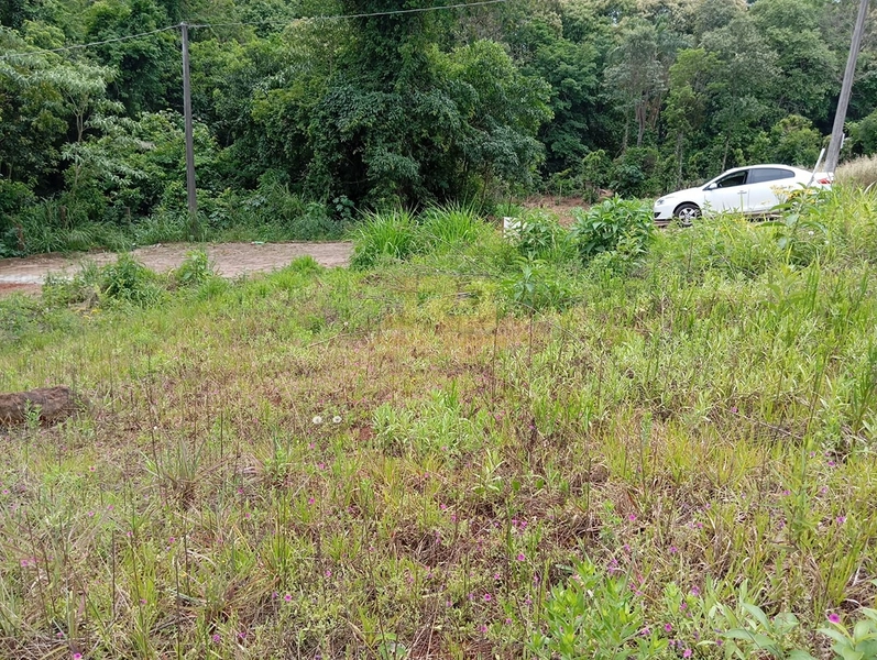 TERRENO DE ESQUINA NO CENTRO: 11ª foto da galeria de imagens do imóvel
