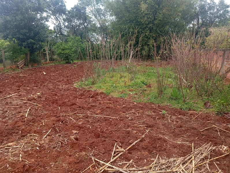 🏡 TERRENO À VENDA – EXCELENTE LOCALIZAÇÃO!: 6ª foto da galeria de imagens do imóvel