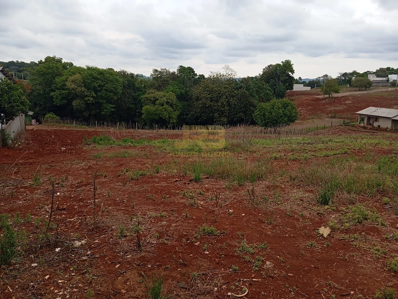 EXECELENTE TERRENO DE 1000m²: 15ª foto da galeria de imagens do imóvel