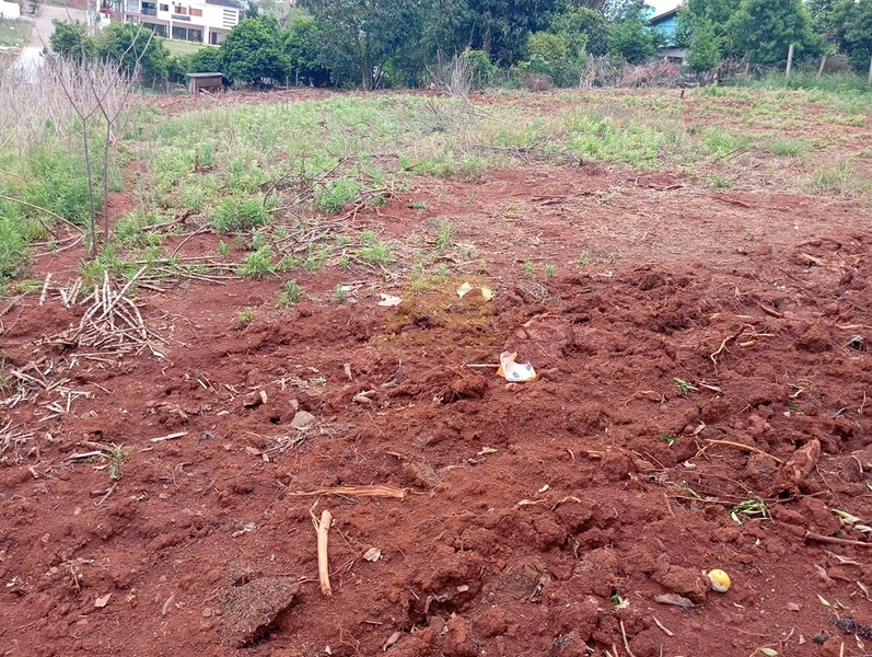 EXECELENTE TERRENO DE 1000m²: 13ª foto da galeria de imagens do imóvel