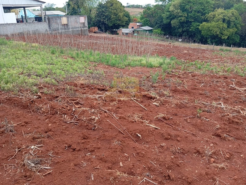 EXECELENTE TERRENO DE 1000m²: 14ª foto da galeria de imagens do imóvel