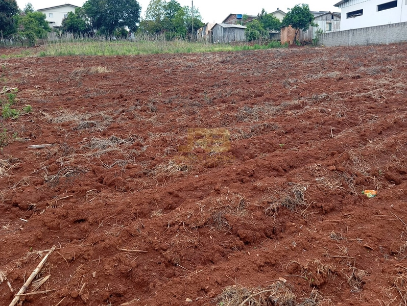 EXECELENTE TERRENO DE 1000m²: 2ª foto da galeria de imagens do imóvel