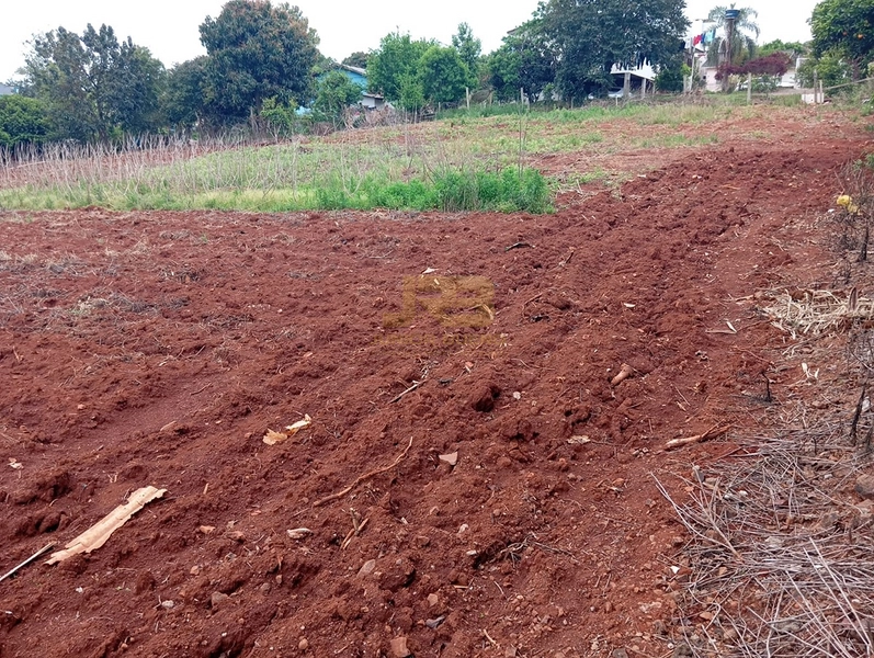 EXECELENTE TERRENO DE 1000m²: 8ª foto da galeria de imagens do imóvel