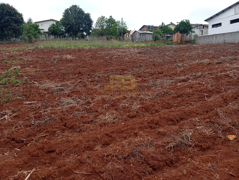 EXECELENTE TERRENO DE 1000m²: 6ª foto da galeria de imagens do imóvel