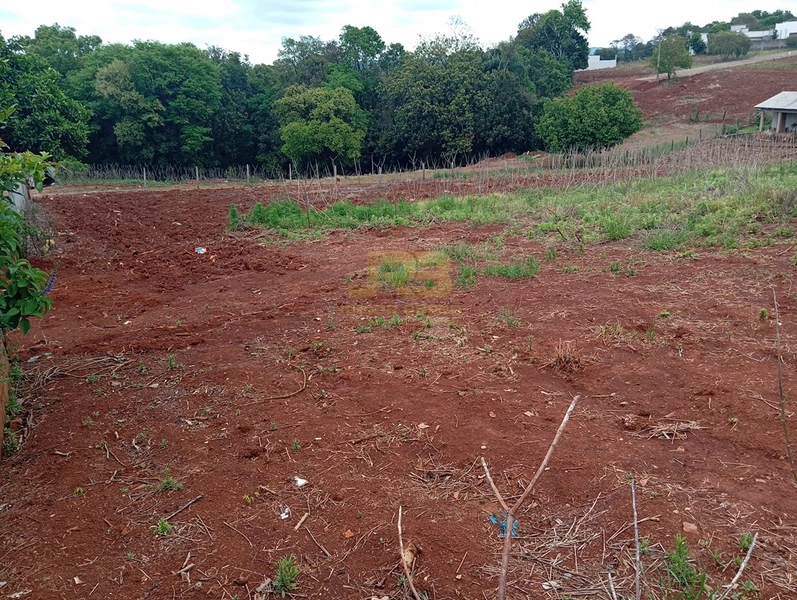 EXECELENTE TERRENO DE 1000m²: 17ª foto da galeria de imagens do imóvel