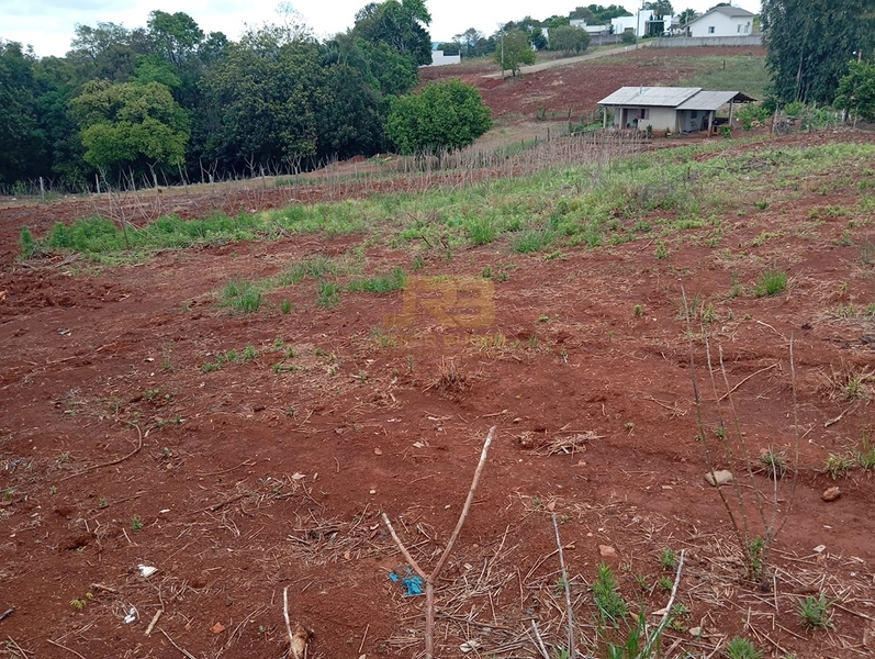 EXECELENTE TERRENO DE 1000m²: 18ª foto da galeria de imagens do imóvel