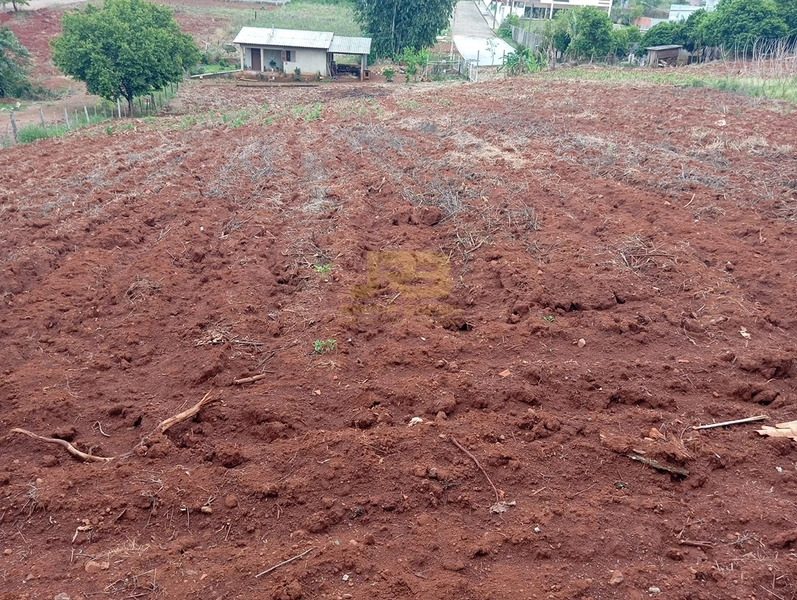 EXECELENTE TERRENO DE 1000m²: 4ª foto da galeria de imagens do imóvel