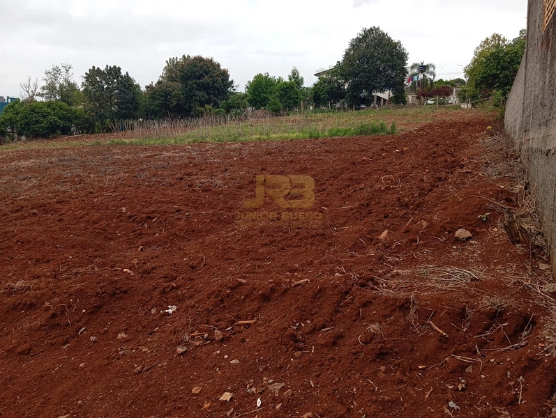 EXECELENTE TERRENO DE 1000m²: 9ª foto da galeria de imagens do imóvel