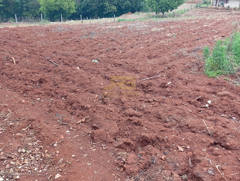 EXECELENTE TERRENO DE 1000m²: 12ª foto da galeria de imagens do imóvel