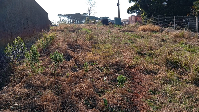TERRENO À VENDA - CENTRO: 2ª foto da galeria de imagens do imóvel