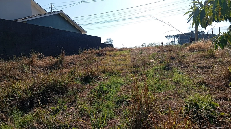 TERRENO À VENDA - CENTRO: 4ª foto da galeria de imagens do imóvel