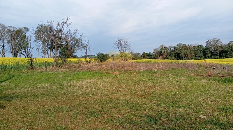 CHÁCARA À VENDA : 2ª foto da galeria de imagens do imóvel