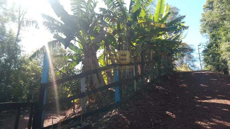 CHÁCARA Á VENDA NA PONTE FORTALEZA: 3ª foto da galeria de imagens do imóvel