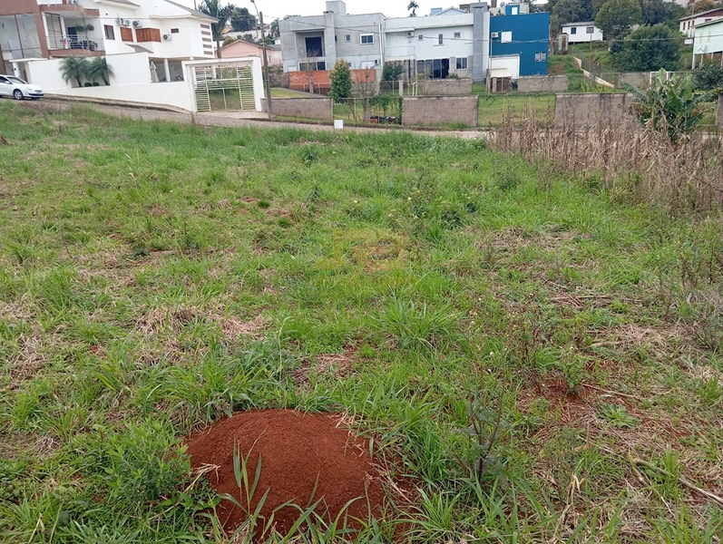 🏡 TERRENO À VENDA – LOTEAMENTO OLIVEIRA: 8ª foto da galeria de imagens do imóvel