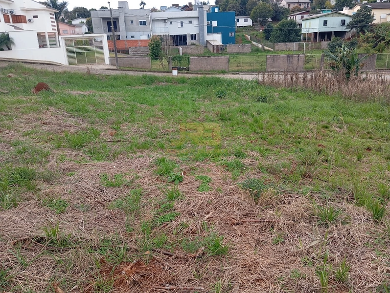 🏡 TERRENO À VENDA – LOTEAMENTO OLIVEIRA: 3ª foto da galeria de imagens do imóvel