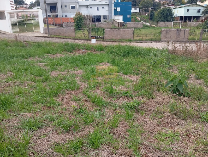 🏡 TERRENO À VENDA – LOTEAMENTO OLIVEIRA: 14ª foto da galeria de imagens do imóvel