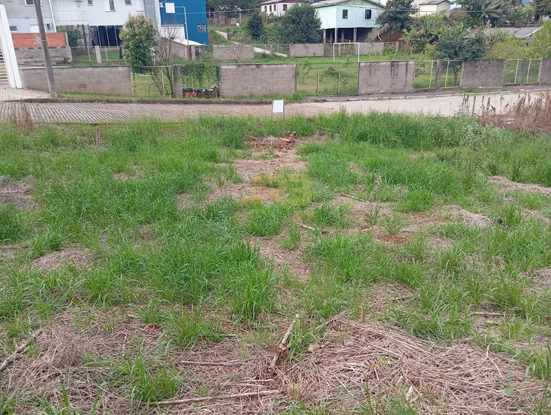 🏡 TERRENO À VENDA – LOTEAMENTO OLIVEIRA: 10ª foto da galeria de imagens do imóvel