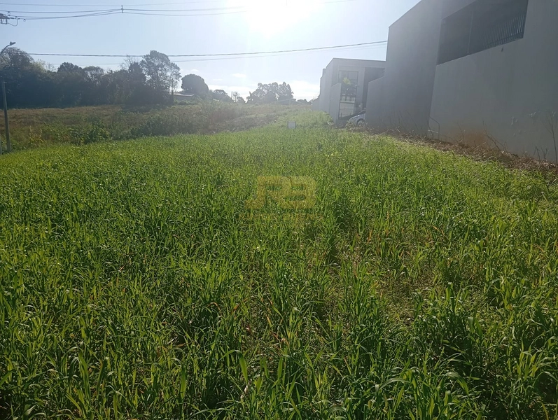 🏡 TERRENO À VENDA | LOTEAMENTO OLIVEIRA: 7ª foto da galeria de imagens do imóvel