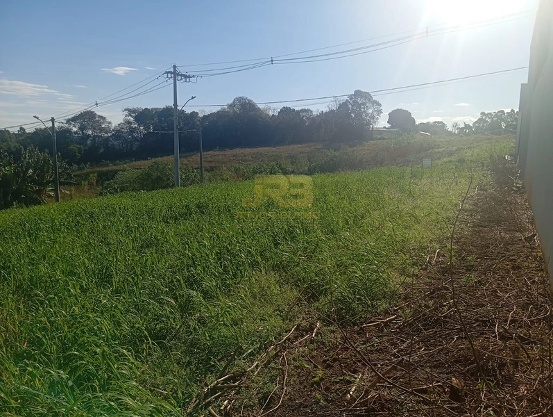 🏡 TERRENO À VENDA | LOTEAMENTO OLIVEIRA: 6ª foto da galeria de imagens do imóvel