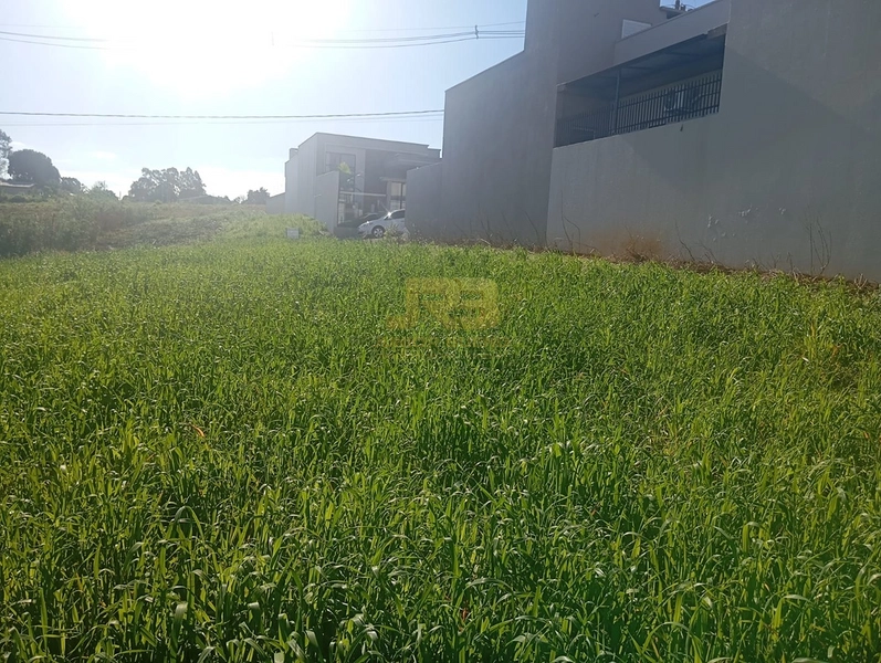 🏡 TERRENO À VENDA | LOTEAMENTO OLIVEIRA: 5ª foto da galeria de imagens do imóvel