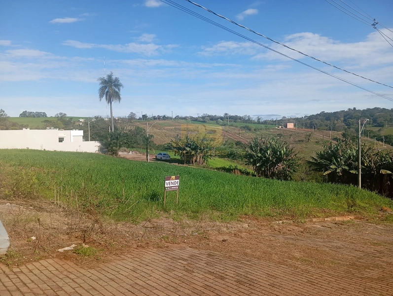 🏡 TERRENO À VENDA | LOTEAMENTO OLIVEIRA: 4ª foto da galeria de imagens do imóvel