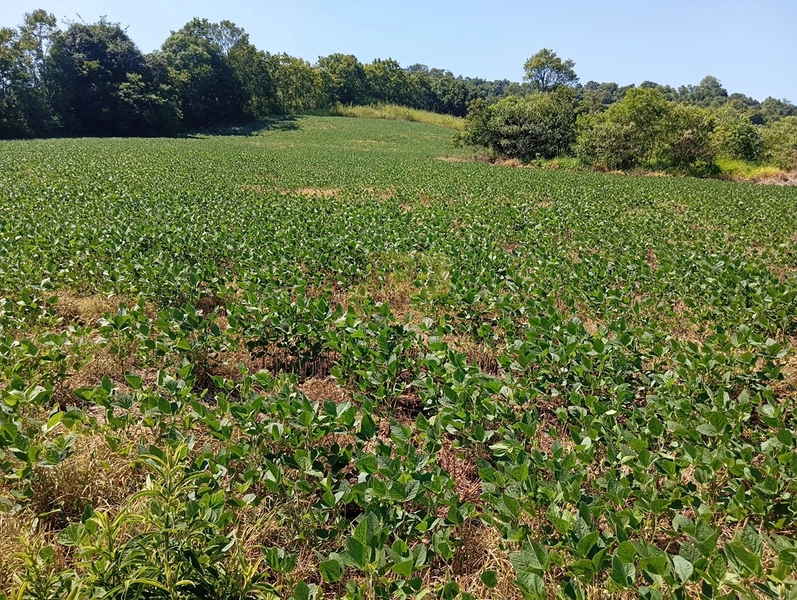 null: 3ª foto da galeria de imagens do imóvel