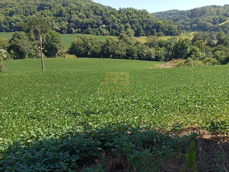 null: 6ª foto da galeria de imagens do imóvel