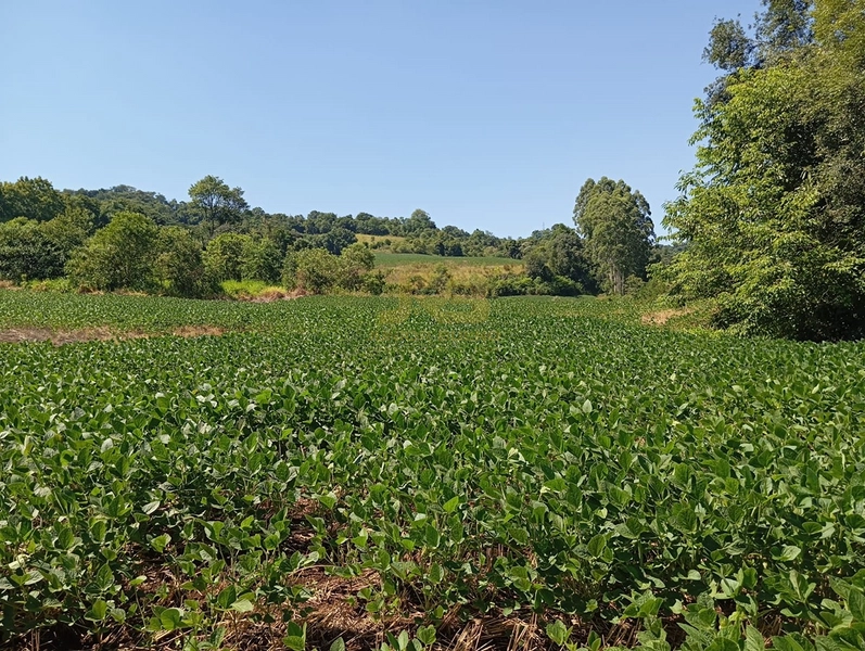 null: 10ª foto da galeria de imagens do imóvel