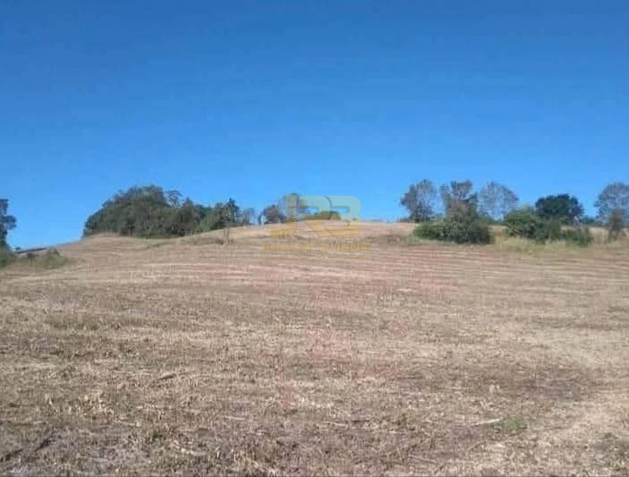 null: 4ª foto da galeria de imagens do imóvel