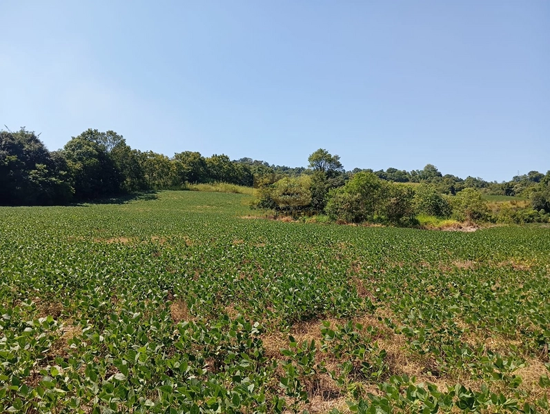 null: 7ª foto da galeria de imagens do imóvel