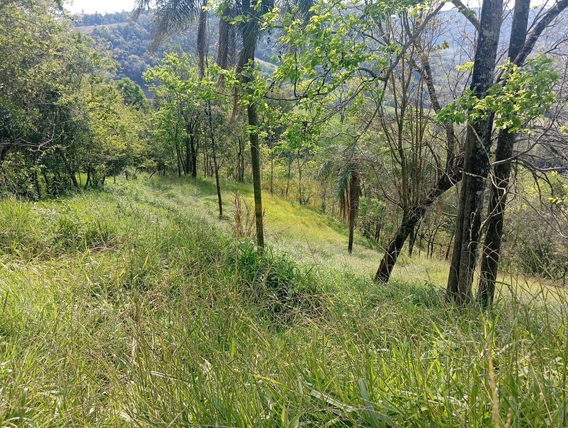 CHÁCARA À VENDA – LINHA NOVA 🌿🏡: 20ª foto da galeria de imagens do imóvel