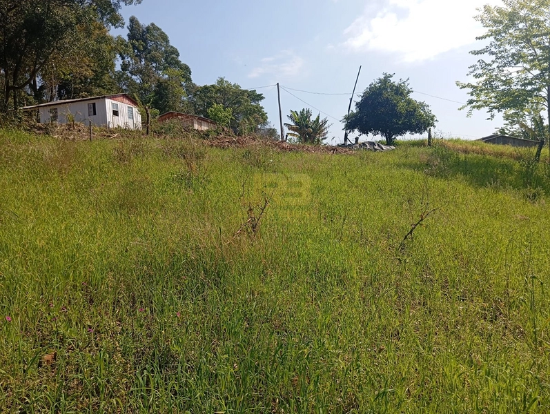CHÁCARA À VENDA – LINHA NOVA 🌿🏡: 9ª foto da galeria de imagens do imóvel