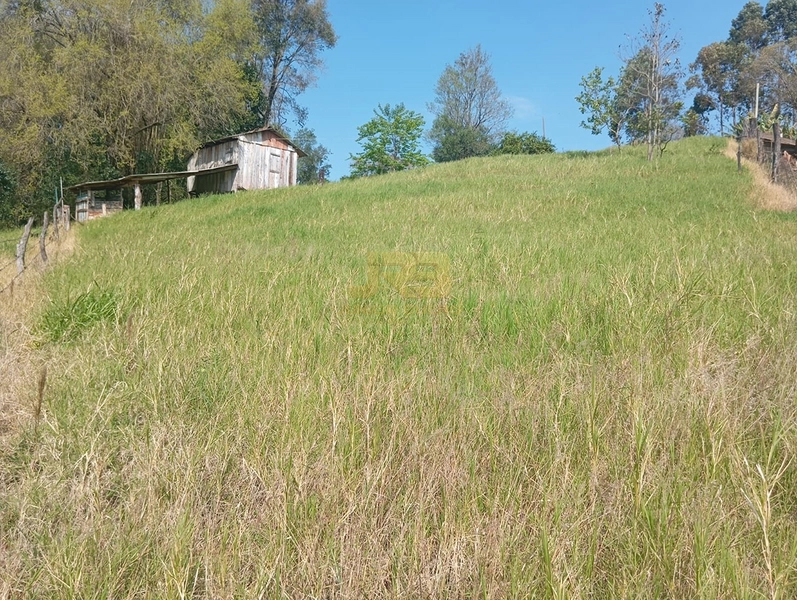 CHÁCARA À VENDA – LINHA NOVA 🌿🏡: 21ª foto da galeria de imagens do imóvel