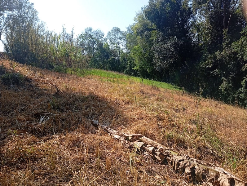 CHÁCARA À VENDA – LINHA NOVA 🌿🏡: 12ª foto da galeria de imagens do imóvel