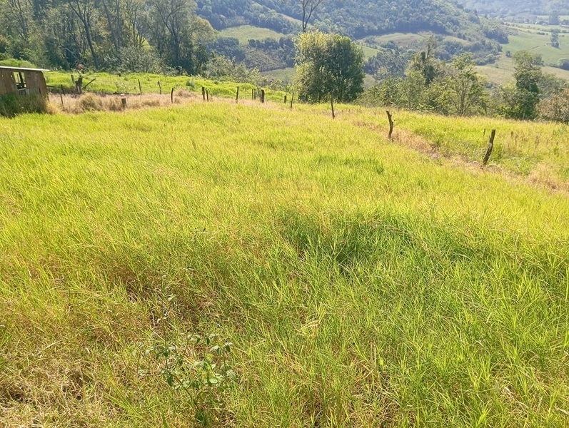 CHÁCARA À VENDA – LINHA NOVA 🌿🏡: 15ª foto da galeria de imagens do imóvel