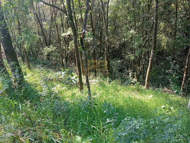 CHÁCARA À VENDA – LINHA NOVA 🌿🏡: 11ª foto da galeria de imagens do imóvel