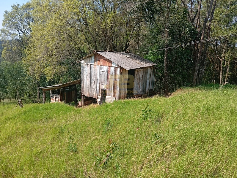 CHÁCARA À VENDA – LINHA NOVA 🌿🏡: 17ª foto da galeria de imagens do imóvel