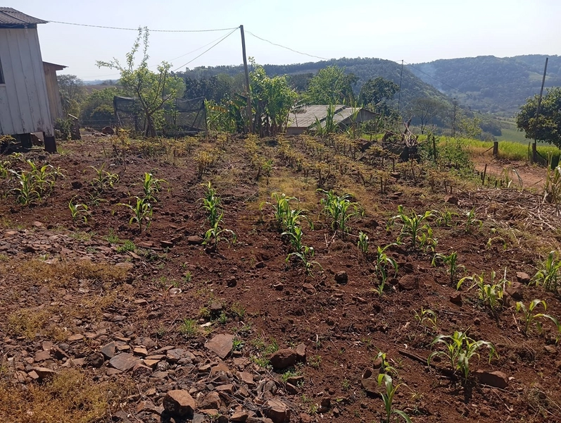 CHÁCARA À VENDA – LINHA NOVA 🌿🏡: 7ª foto da galeria de imagens do imóvel