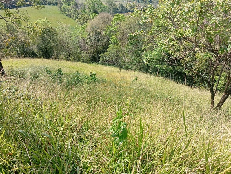 CHÁCARA À VENDA – LINHA NOVA 🌿🏡: 22ª foto da galeria de imagens do imóvel