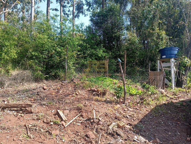 CHÁCARA À VENDA – LINHA NOVA 🌿🏡: 8ª foto da galeria de imagens do imóvel