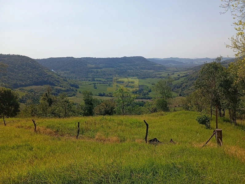CHÁCARA À VENDA – LINHA NOVA 🌿🏡: 16ª foto da galeria de imagens do imóvel