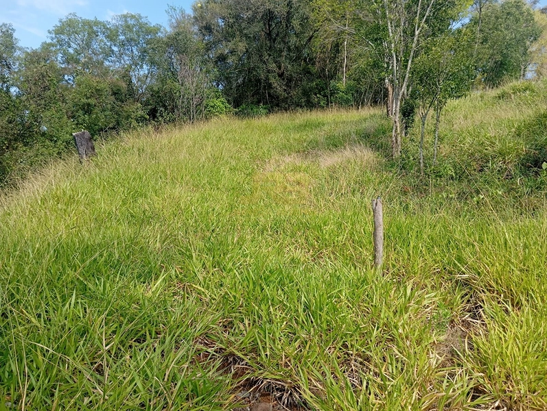 CHÁCARA À VENDA – LINHA NOVA 🌿🏡: 18ª foto da galeria de imagens do imóvel