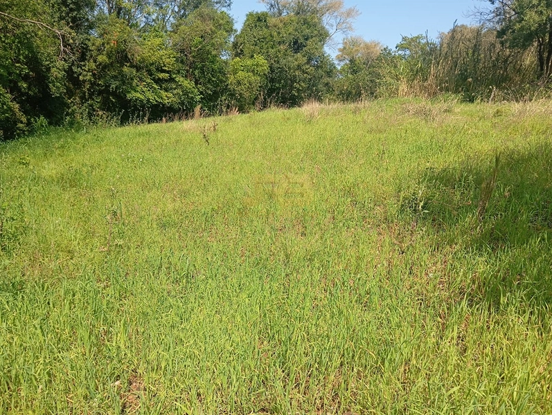CHÁCARA À VENDA – LINHA NOVA 🌿🏡: 14ª foto da galeria de imagens do imóvel